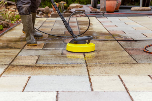 Best Animal Enclosure Cleaning  in Fall River, WI