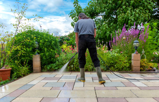 Best Animal Enclosure Cleaning  in Fall River, WI